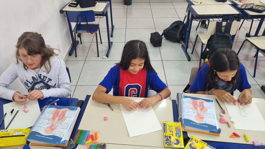 Atividade sobre sistemas digestório e sistema respiratório