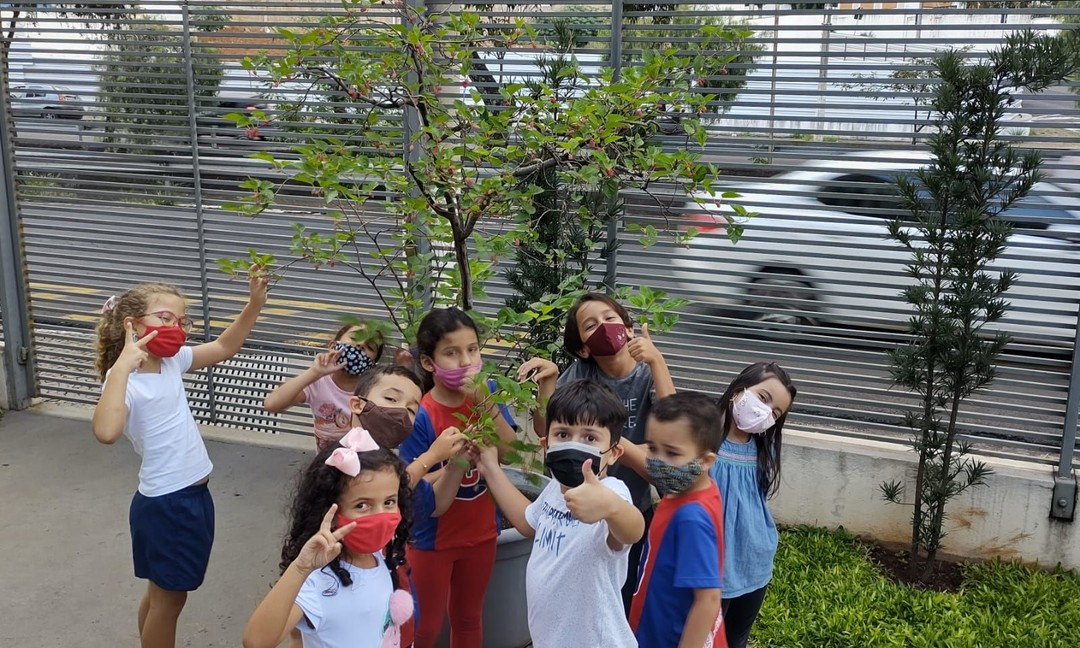 Aproveitando o bosque