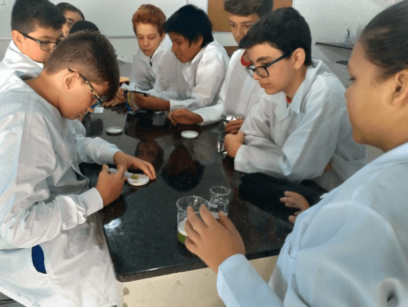 Substâncias Alelopáticas