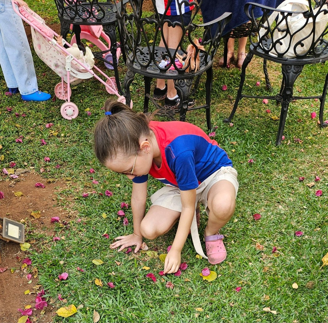 A magia do brincar na natureza 1º Ano A