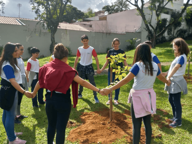 Dia do Meio Ambiente