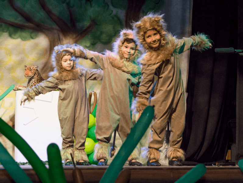 Festival: Baile dos Bichos